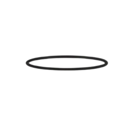 O Ring - Top Sub